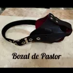 Bozal Pastor