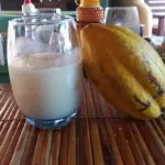 Cacau