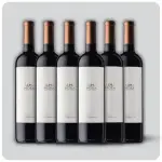 Alma Mora Malbec x6