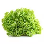 Alface crespa verde (pé)