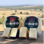 Kit Parmesão Ervas Finas 0,500gr