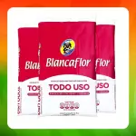 Bulto Blancaflor Todo Uso 1kg