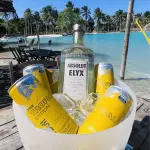 Absolut Elyx  1750ml