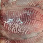 FILE DE TILAPIA FRESCO BANDEJA DE 1K