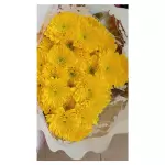 Flores variedad