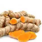 Curcuma