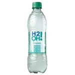 H2O