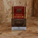 Gudang Garam Cravo & Canela Importad