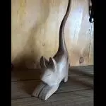 Gato