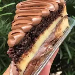 Fatia Bolo Ninho c/ Nutella