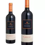 Casa Perini Vitis Barbera