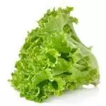 LETTUCE