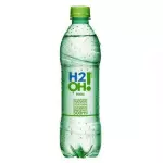 H2O