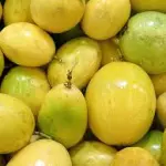 MARACUYA KILO