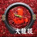 CALDO PICANTE DE CHONGQING 大龙燚红锅