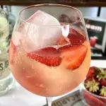 Gin Tonic FRESAS o BLUEBERRY