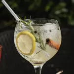 Gin & Tônica