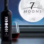 Moons 7