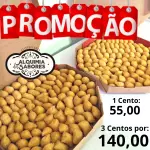 PROMOÇÃO- 3 Centos por 150,00
