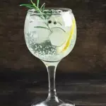 GIN TONIC