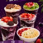 Copo (açaí ZERO AÇÚCAR)