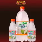 Água de coco