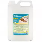 Sabonete Antisséptico 5L (2492)