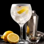 GIN TÔNICA