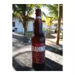 BRAHMA D. MALTE - 600 ML