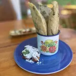 LAS JAROCHITAS
