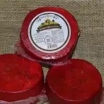 Gouda