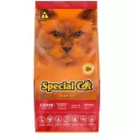 SPECIAL CAT ADULTO CARNE