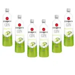 GIN ETERNITY MAÇA CX C/6