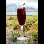 Calafate Sour