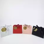 3036 BOLSAS DE REGALO CON CINTA