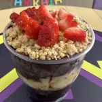 AÇAÍ *ZERO* 200ml