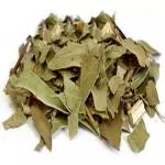 Eucalipto 100gr