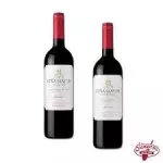 BOTELLA VINO TINTO