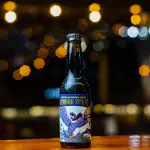 Camino del Sol Condor Stout 296 ml