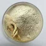 Ginseng em Pó