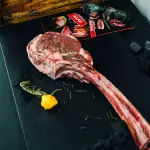 TOMAHAWK