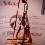 Pechera comercial para perros grande