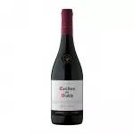 casillero del diablo pinot noir