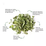 Moringa Chá - 10g
