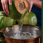 CALDO DE COCO上品清椰汤锅