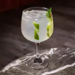 Gin Tonic