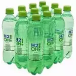 H20