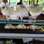 Gin Tônica