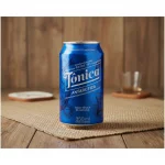 Água Tônica Antártica Lata 350ml
