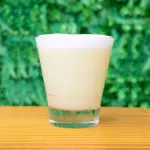 Pisco Sour